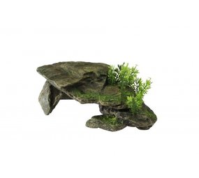 Aqua Della Decor Stone met Planten Aqua Della Decor Stone met Planten
