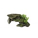 Aqua Della Decor stone Aqua Della Decor stone