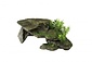 Decor Stone met Planten
