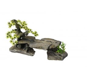 Aqua Della Bonsai Steen met Planten Aqua Della Bonsai Steen met Planten