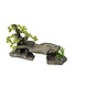 Aqua Della Decor stone bonsai Aqua Della Decor stone bonsai