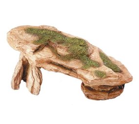 Aqua Della Desert rock L Aqua Della Desert rock L