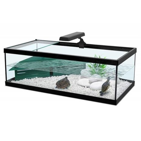 Aquatlantis Easy LED Universal Tortum zwart