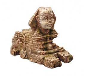 Aqua Della Egypt Sphynx Aqua Della Egypt Sphynx