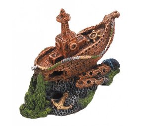 Aqua Della Shipwreck Galeone