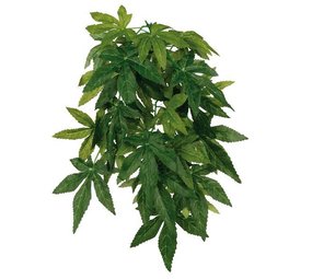 Trixie Terrarium Zijde Hangplant Abutilon