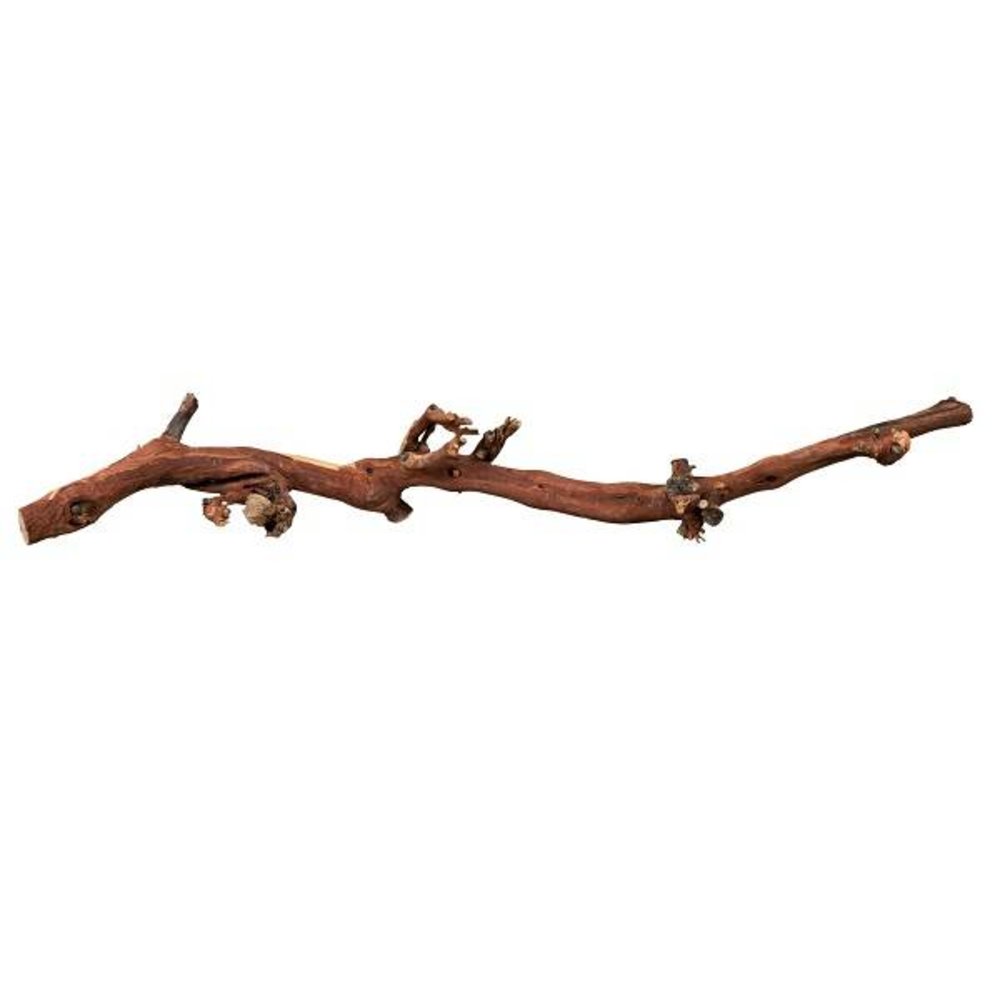 Trixie Terrarium Druiventakken Trixie Terrarium Druiventakken