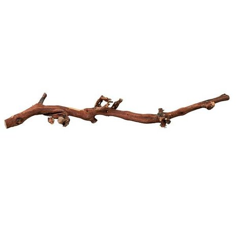 Trixie Terrarium Druiventakken Trixie Terrarium Druiventakken