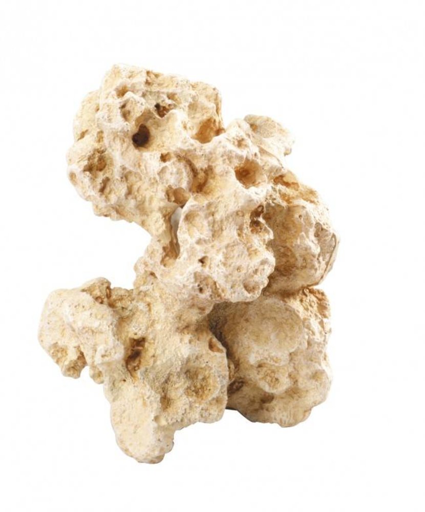 Aqua Della Combo Moon M