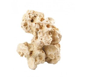 Aqua Della Combo Moon M