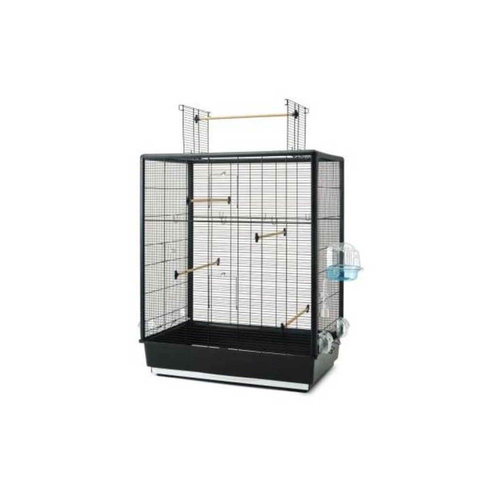 Savic Vogelkooi Primo 60 Open Empire Savic Vogelkooi Primo 60 Open Empire