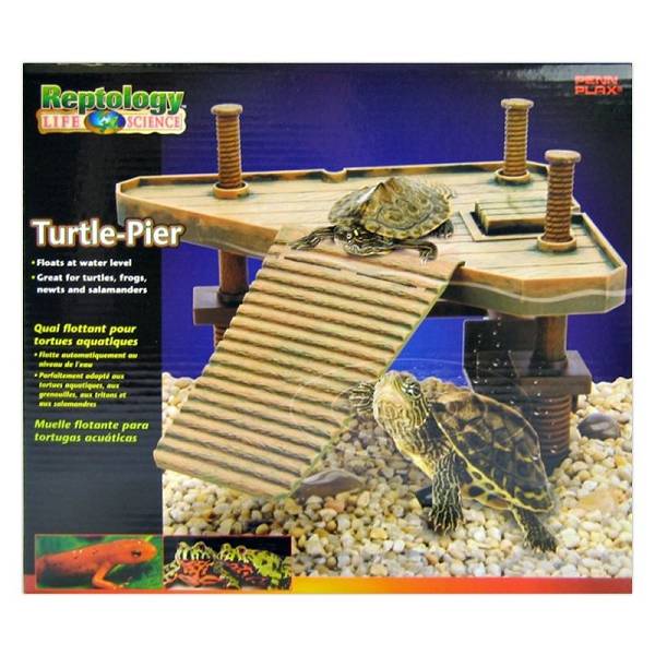 Civic Corrupt heb vertrouwen Schildpad Eiland Turtle Pier - Pets Gifts
