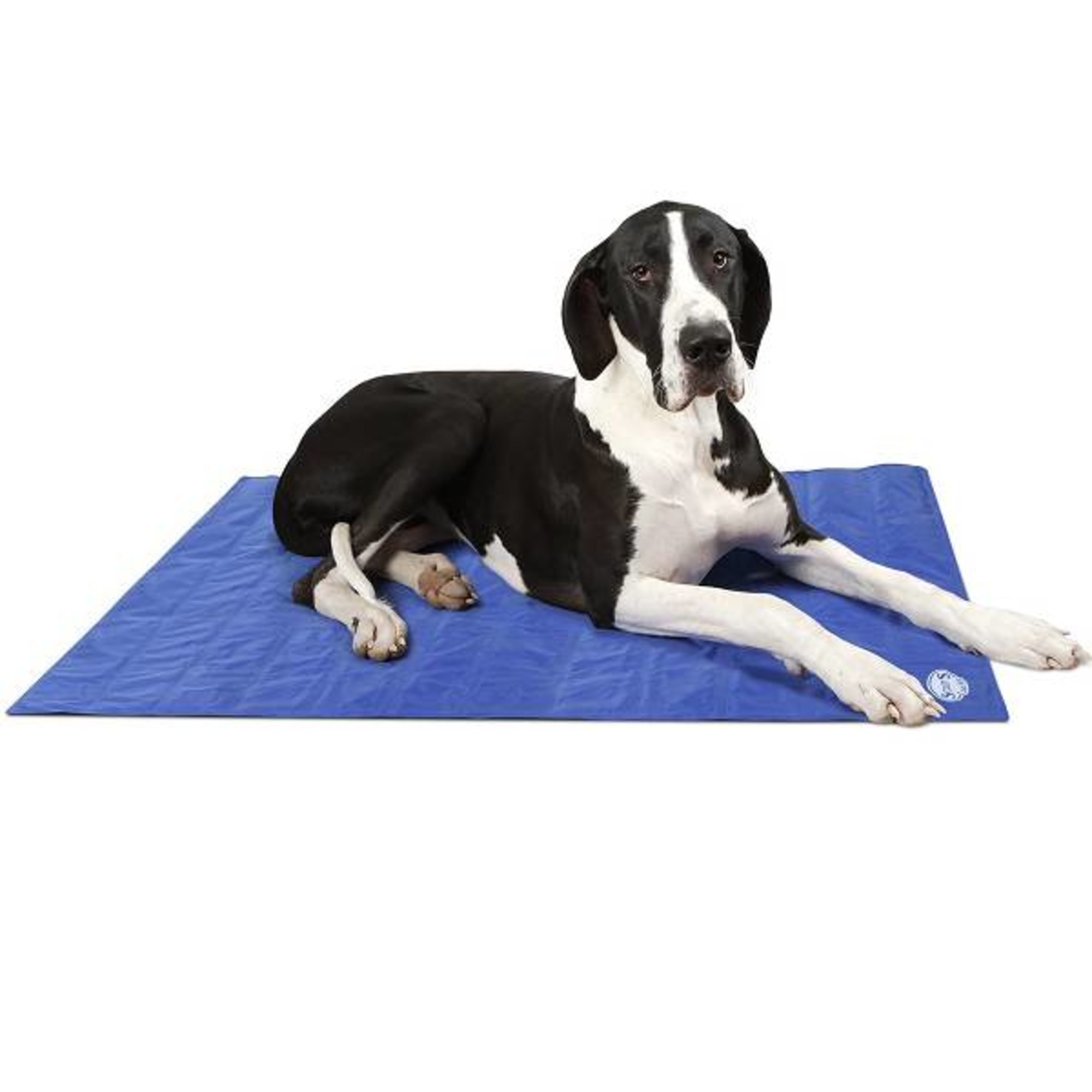 Gel Koelmat voor honden Pets Gifts