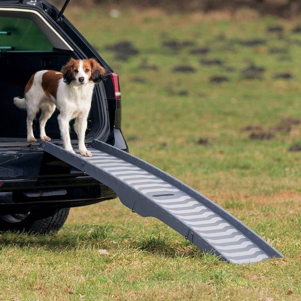 Lieve Sprong terugtrekken Trixie Inklapbare Loopplank Hond tot 30 KG - Pets Gifts