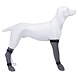 Trixie Beschermkous Siliconen voor Kat en Hond Trixie Beschermkous Siliconen voor Kat en Hond