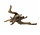 Aquarium Decoratie Driftwood Bruin