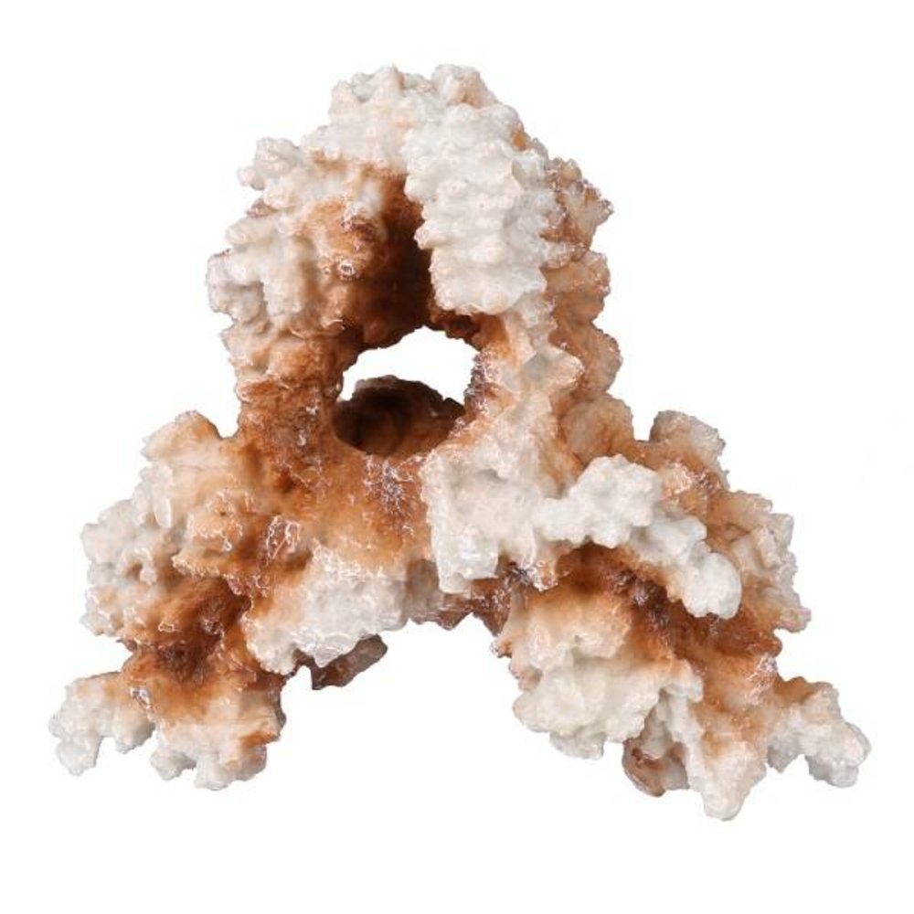 Aqua Della Kunst Koraal Rif Aqua Della Kunst Koraal Rif