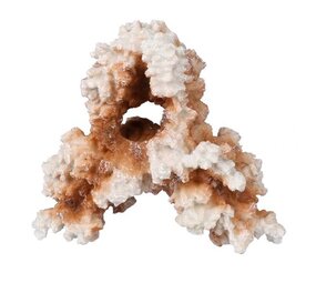 Aqua Della Kunst Koraal Rif