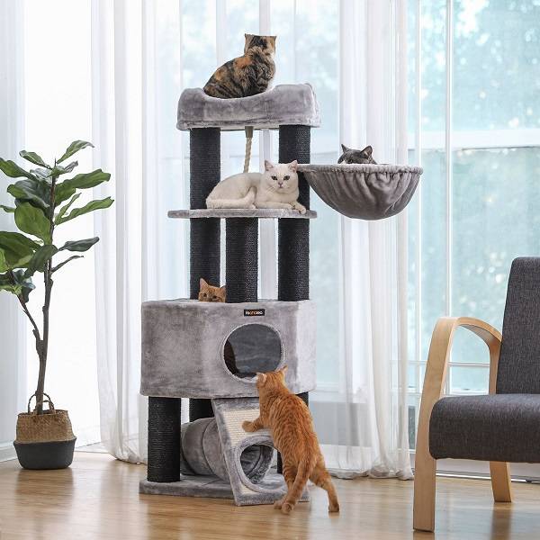 Grommen Okkernoot Versterken Krabpaal Maine Coon Gotha - Pets Gifts