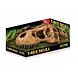 Exo Terra T-Rex Schedel Exo Terra T-Rex Schedel
