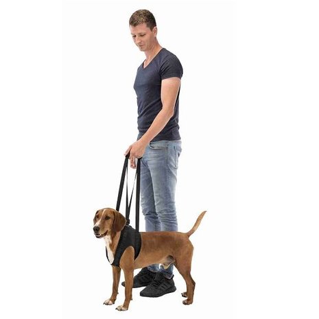 Trixie Loophulp voor de Hond