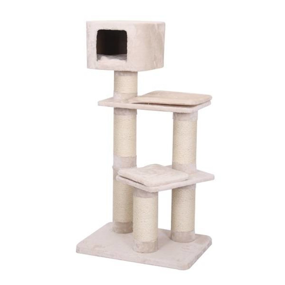 EBI Krabpaal Maine Coon Crawford