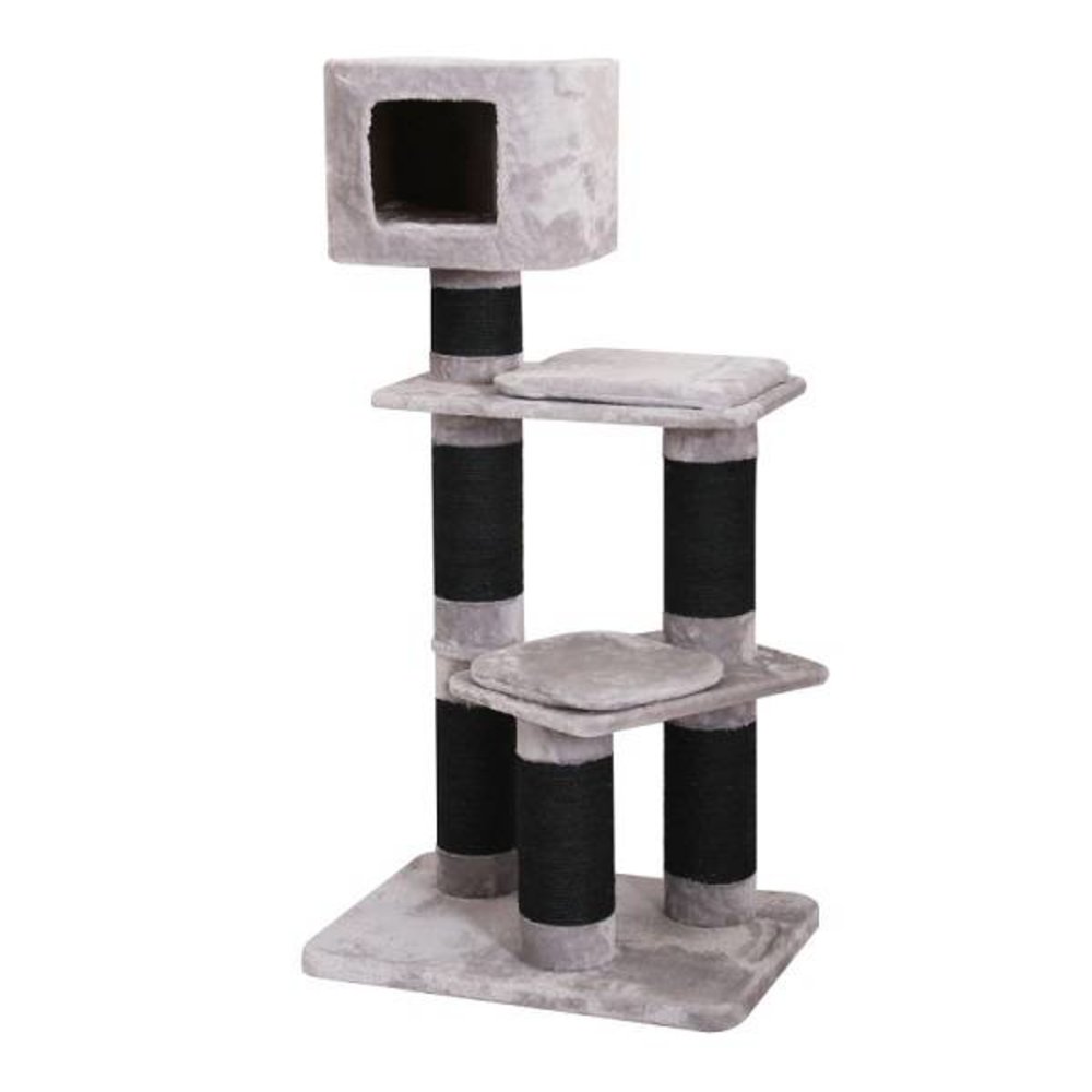 EBI Krabpaal Maine Coon Crawford