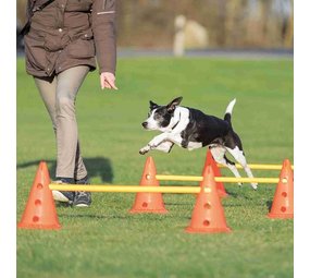 Trixie Agility Hordenset 6 pionnen Trixie Agility Hordenset 6 pionnen