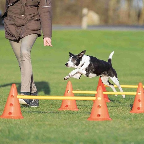 Trixie Agility Hordenset 6 pionnen Trixie Agility Hordenset 6 pionnen