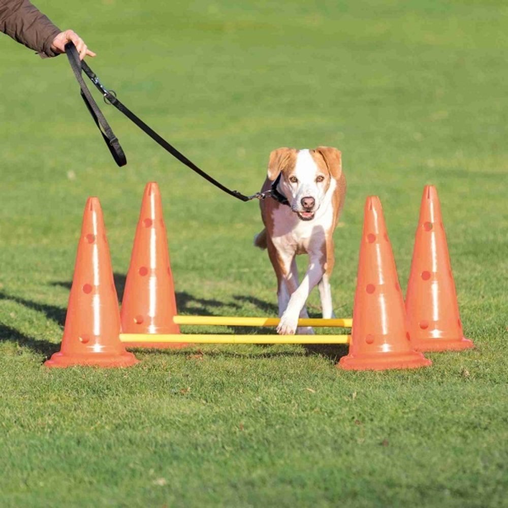 Trixie Agility Hordenset 4 pionnen