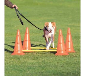Trixie Agility Hordenset 4 pionnen Trixie Agility Hordenset 4 pionnen
