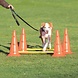 Trixie Agility Hordenset 4 pionnen Trixie Agility Hordenset 4 pionnen