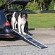Trixie Telescoop Loopplank Aluminium tot 100 KG Trixie Telescoop Loopplank Aluminium tot 100 KG