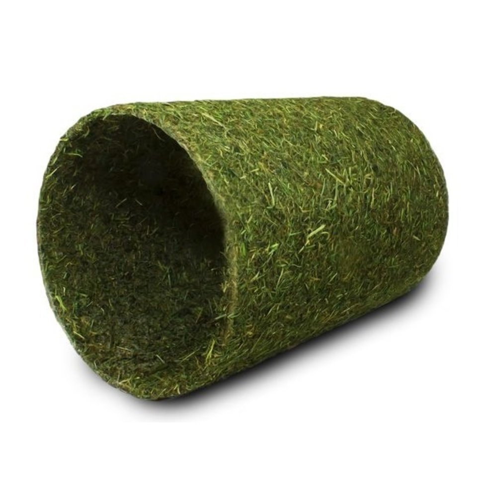 Hooi Tunnel Hooi Tunnel