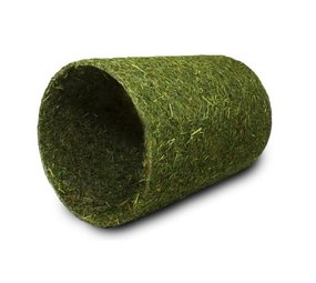 Hooi Tunnel Hooi Tunnel