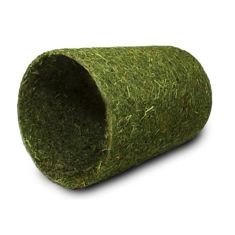 Hooi Tunnel Hooi Tunnel