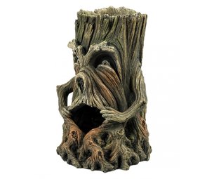 Aqua Della Aqua Deco Boom met Gezicht 1