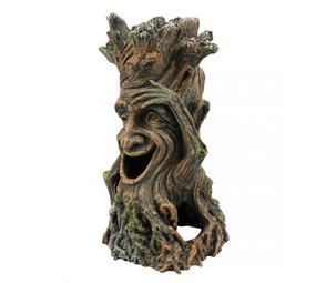 Aqua Della Aqua Deco Boom met Gezicht 2