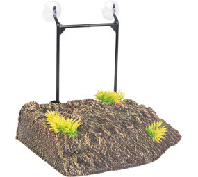 Schildpad Eiland Hoek Small Schildpad Eiland Hoek Small