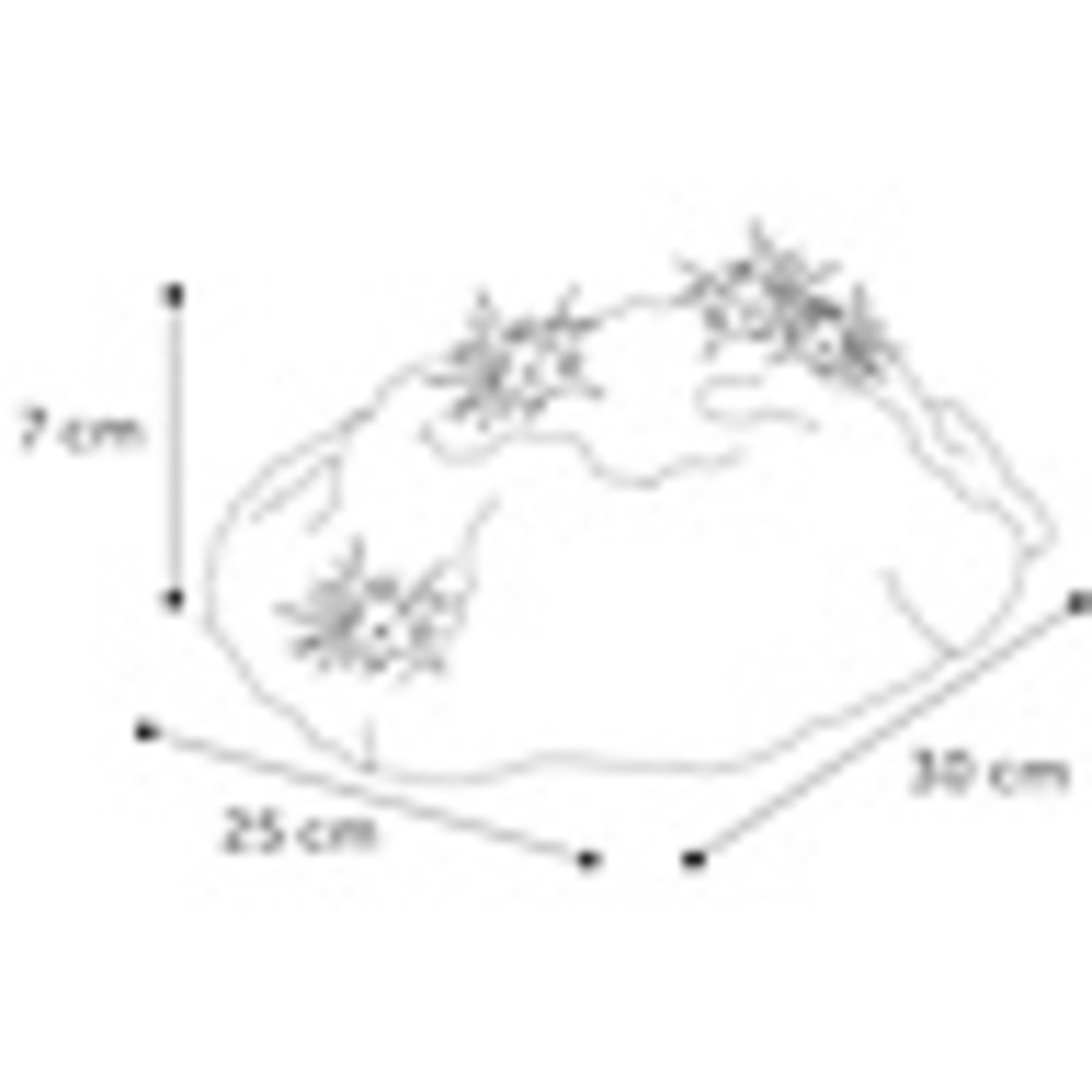 Flamingo Schildpad Eiland Rots large Flamingo Schildpad Eiland Rots large