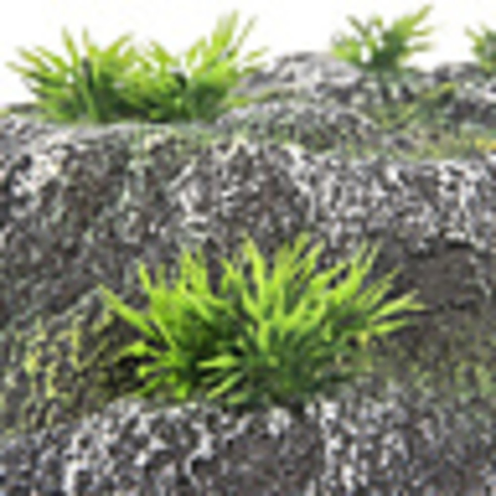 Flamingo Schildpad Eiland Rots large Flamingo Schildpad Eiland Rots large