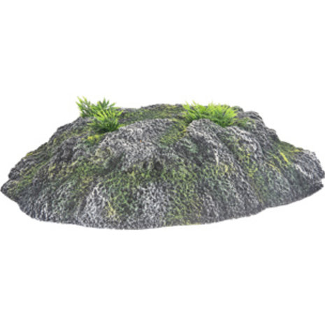 Flamingo Schildpad Eiland Rots large Flamingo Schildpad Eiland Rots large