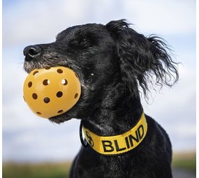Trixie Gatenbal voor blinde honden Trixie Gatenbal voor blinde honden