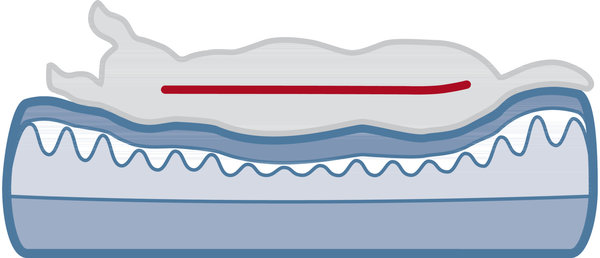 Trixie Orthopedische Mand Pulito Trixie Orthopedische Mand Pulito
