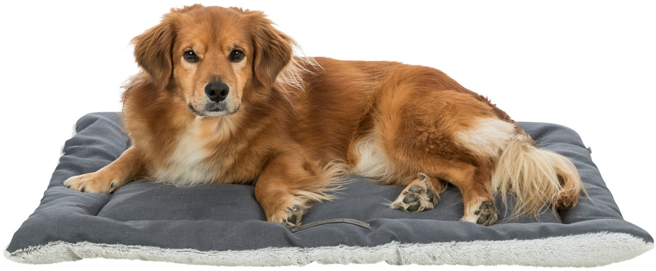 Trixie Benchkussen Farello