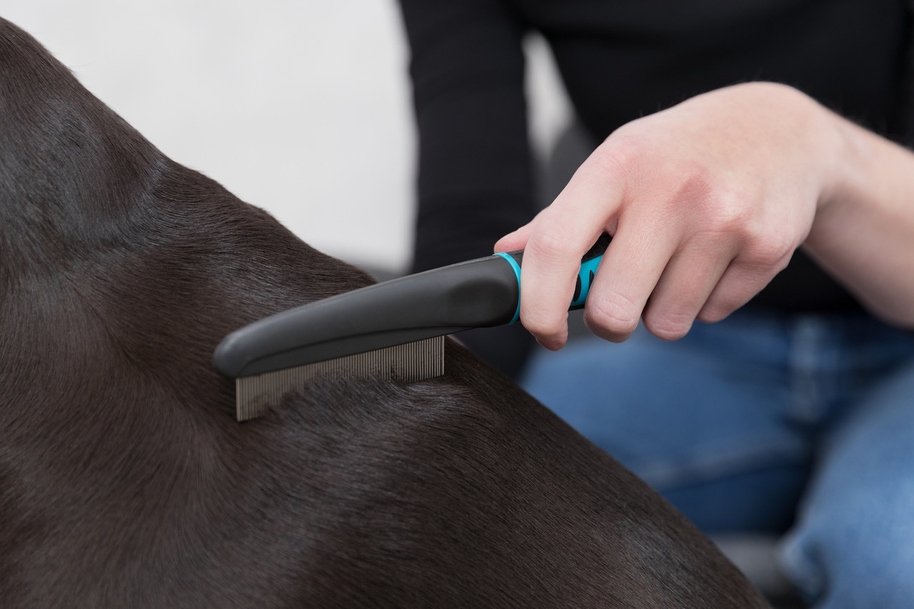 Trixie Vlooien-Stofkam