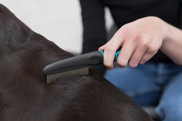 Trixie Vlooien-Stofkam