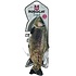 Forel Bewegende Vis met USB Forel Bewegende Vis met USB