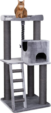 Trixie Krabpaal Maine Coon Sergio