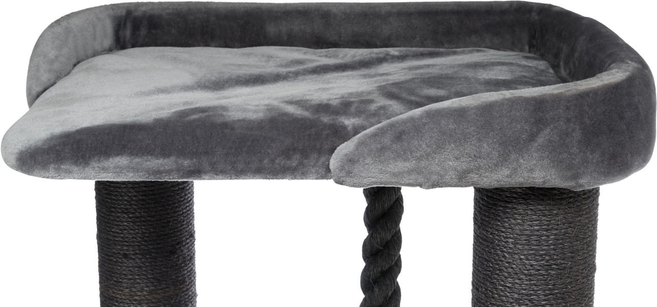 Trixie Krabpaal Maine Coon Sergio